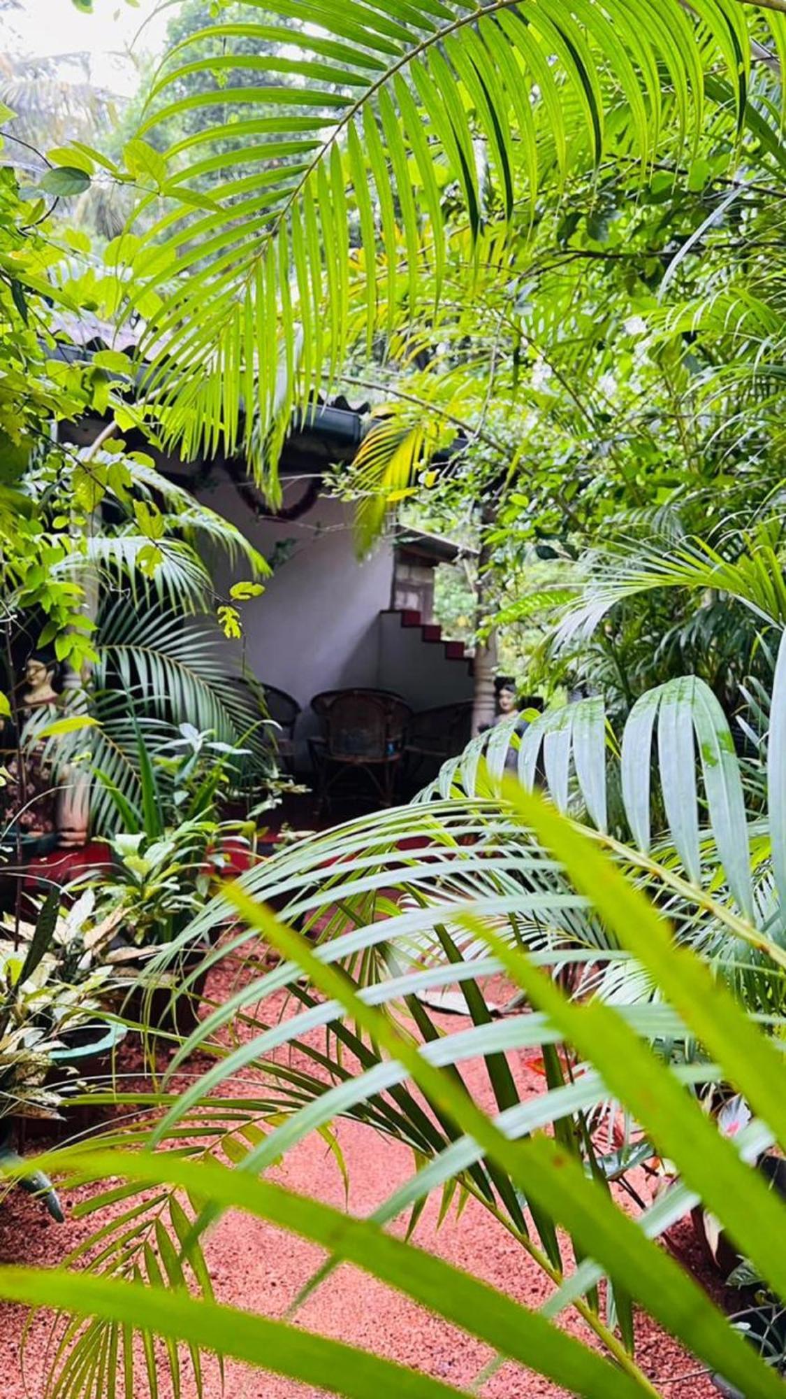 Sigiri Kp Family Home シギリヤ エクステリア 写真