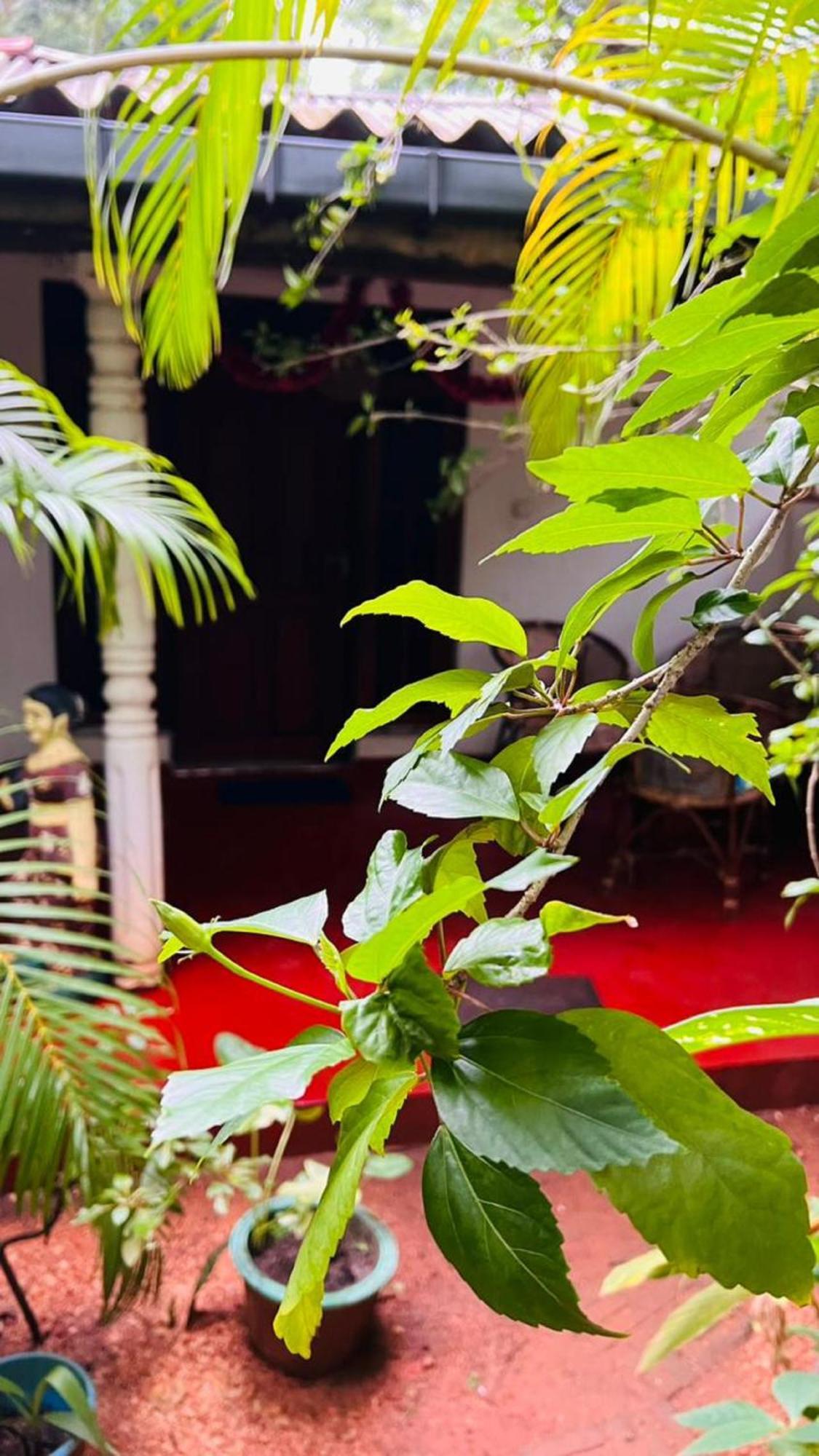 Sigiri Kp Family Home シギリヤ エクステリア 写真